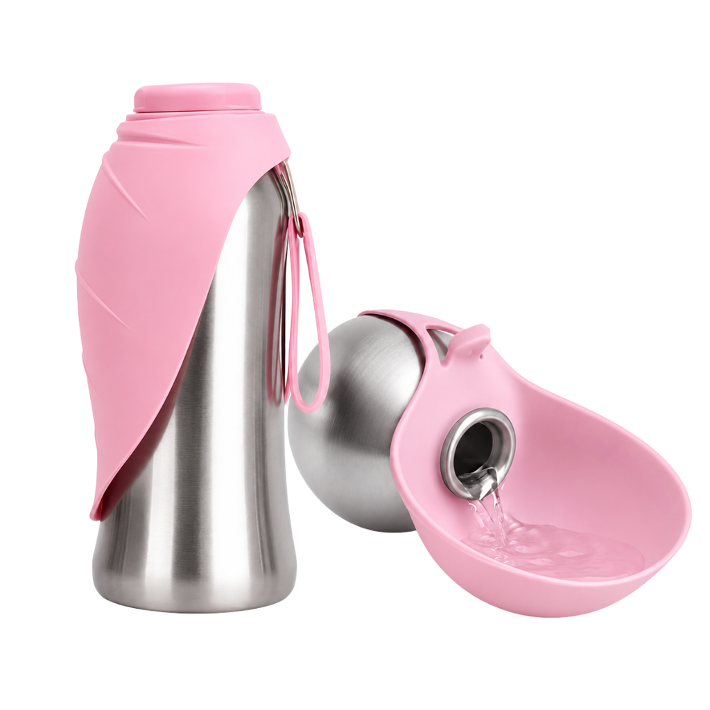 Sip & Go Bottle