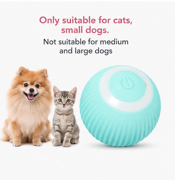 The Zoomie Motion Ball